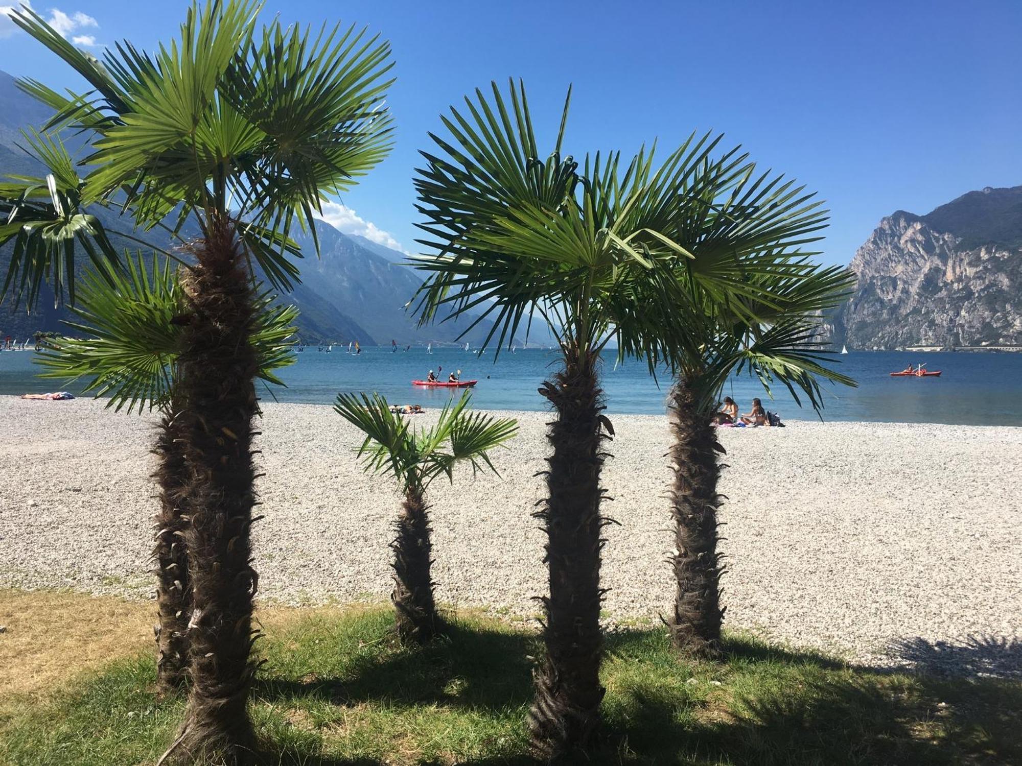 Outdooredo Garda Torbole Apartment *